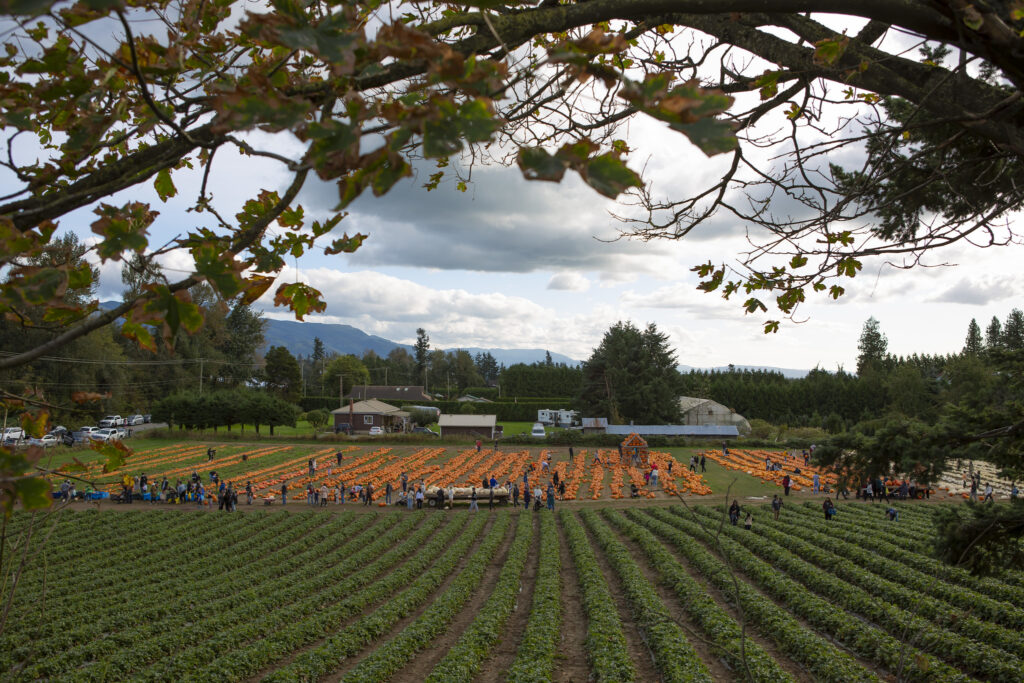 Maan Farms in Abbotsford near Vancouver, BC.